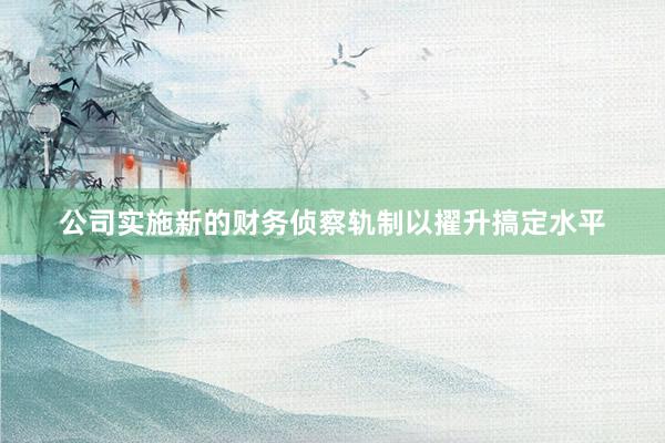 公司实施新的财务侦察轨制以擢升搞定水平