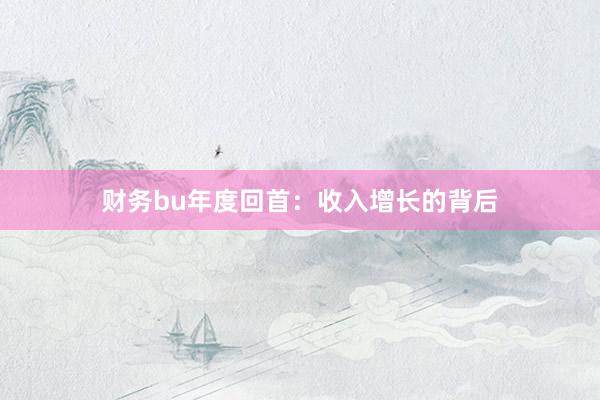 财务bu年度回首：收入增长的背后