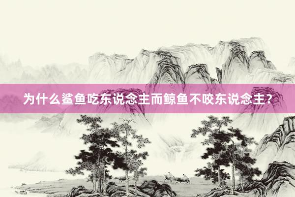 为什么鲨鱼吃东说念主而鲸鱼不咬东说念主？